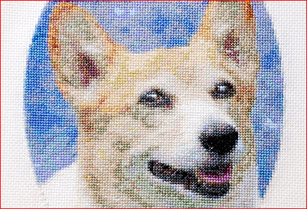 Wanだフル! x すてっち
